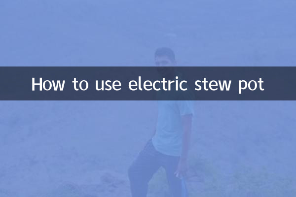 電燉鍋怎麼使用