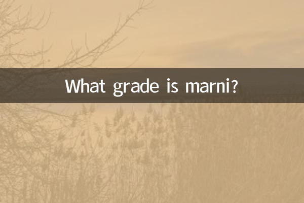 Qual é a nota do marni?