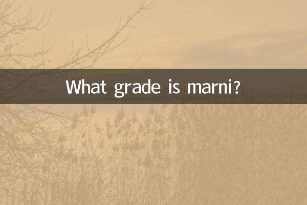 Qual é a nota do marni?