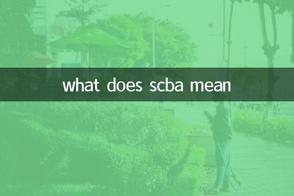 scba মানে কি