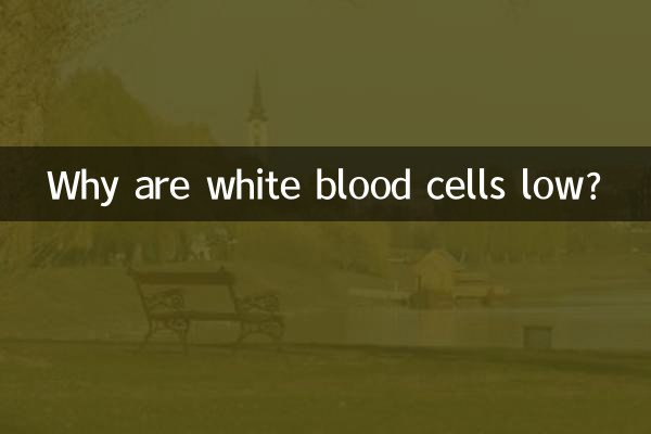 為什麼白細胞低