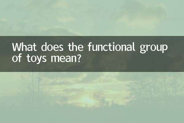 장난감의 기능군은 무엇을 의미하나요?