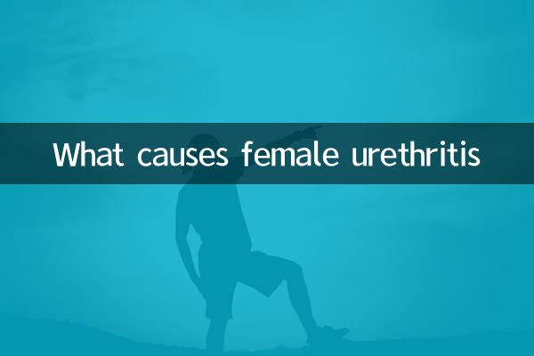 여성 요도염의 원인