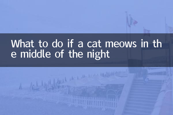 اگر گربه در نیمه شب میو میو کرد چه باید کرد؟