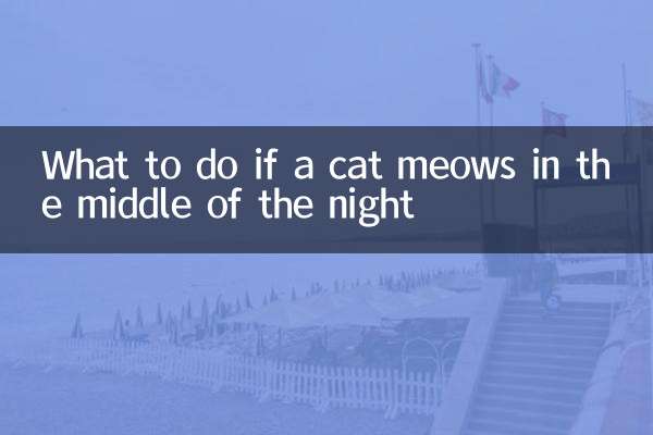 اگر گربه در نیمه شب میو میو کرد چه باید کرد؟