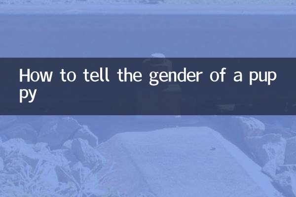 Как узнать пол щенка