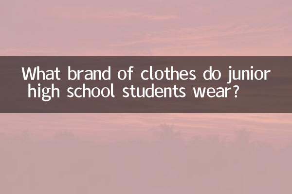 중학생들은 어떤 브랜드의 옷을 입나요?