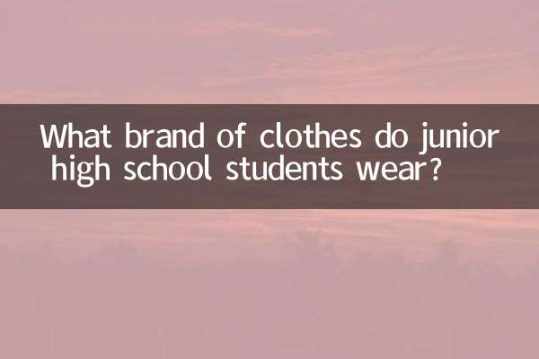ما هي ماركة الملابس التي يرتديها طلاب المدارس الثانوية؟