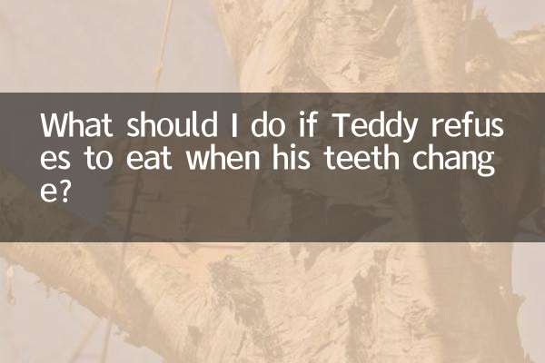 Que dois-je faire si Teddy refuse de manger lorsque ses dents changent ?