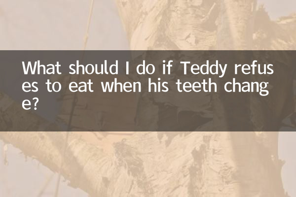 Que dois-je faire si Teddy refuse de manger lorsque ses dents changent ?