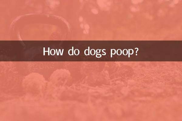 ¿Cómo hacen caca los perros?