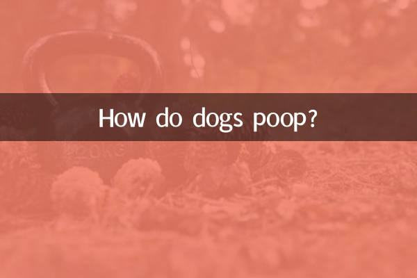 ¿Cómo hacen caca los perros?