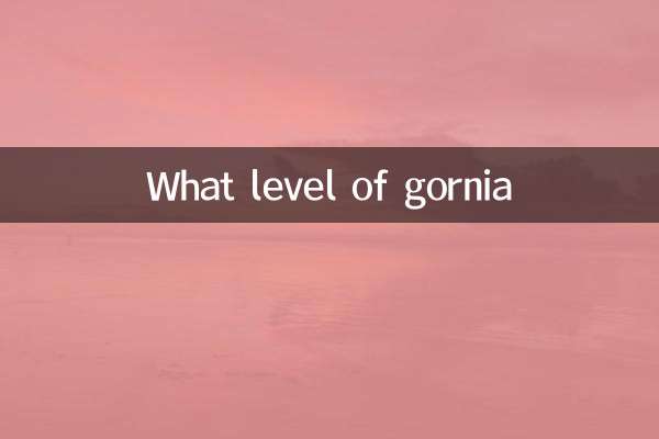 gornia什么档次