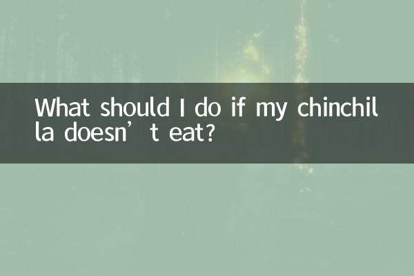 龍貓不吃東西怎麼辦