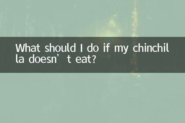 龙猫不吃东西怎么办