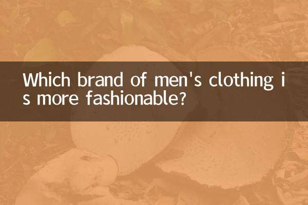¿Qué marca de ropa masculina está más de moda?
