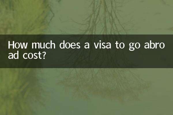 ¿Cuánto cuesta una visa para ir al extranjero?