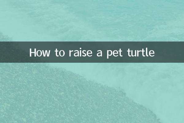 How to raise a pet turtle