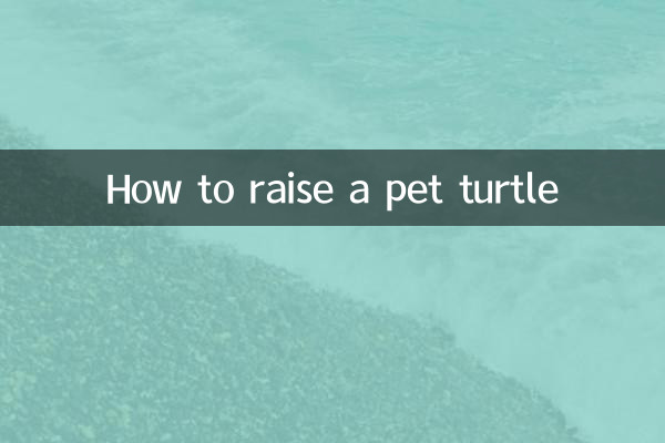 How to raise a pet turtle