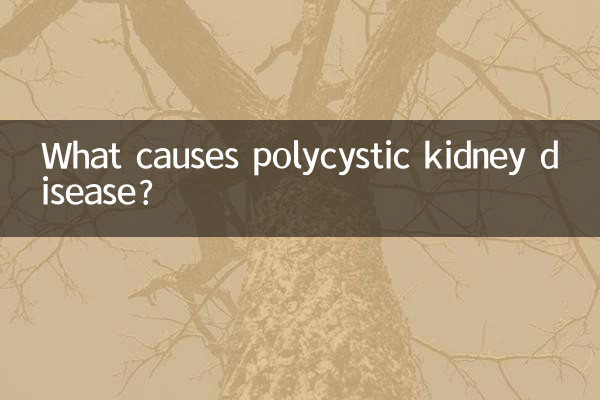What causes polycystic kidney disease?