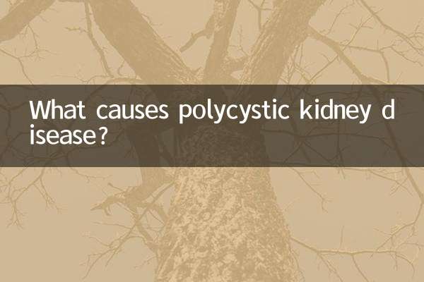 What causes polycystic kidney disease?
