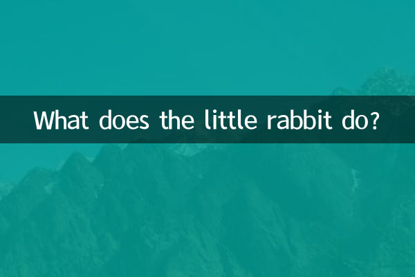What does the little rabbit do?