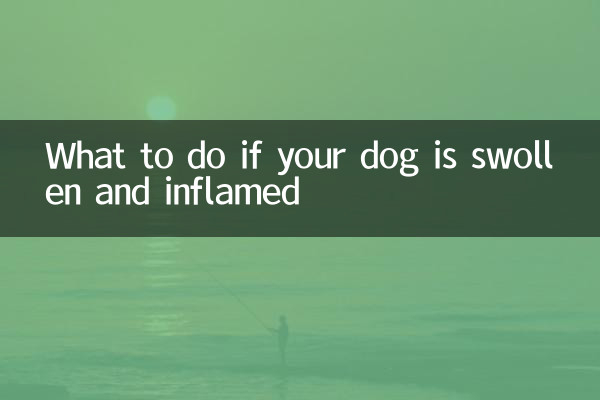 আপনার কুকুর ফোলা এবং প্রদাহ হলে কি করবেন