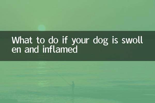 Qué hacer si tu perro está hinchado e inflamado