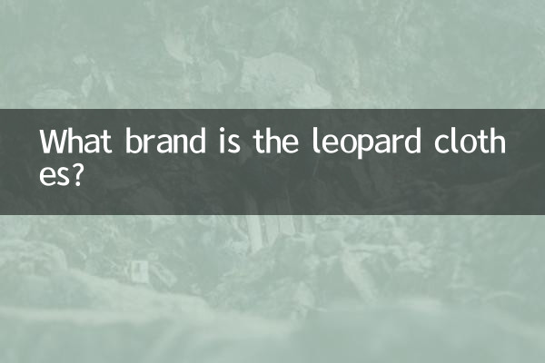 What brand is the leopard clothes?