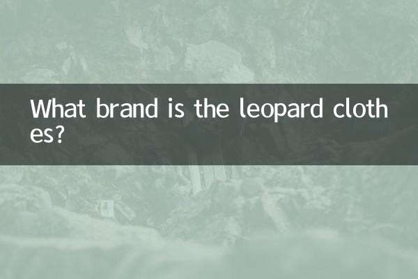 What brand is the leopard clothes?