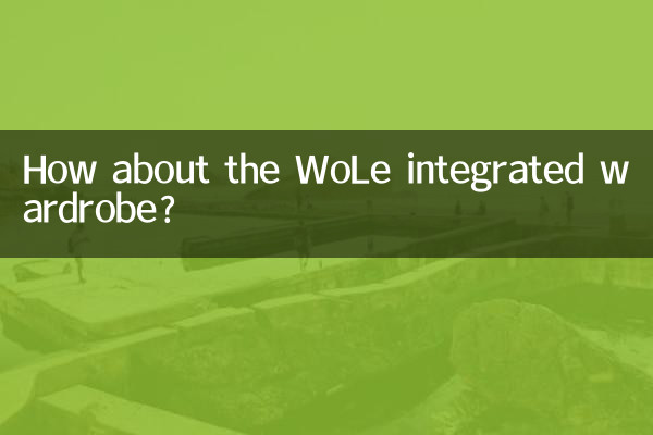 Que tal o guarda-roupa integrado WoLe?