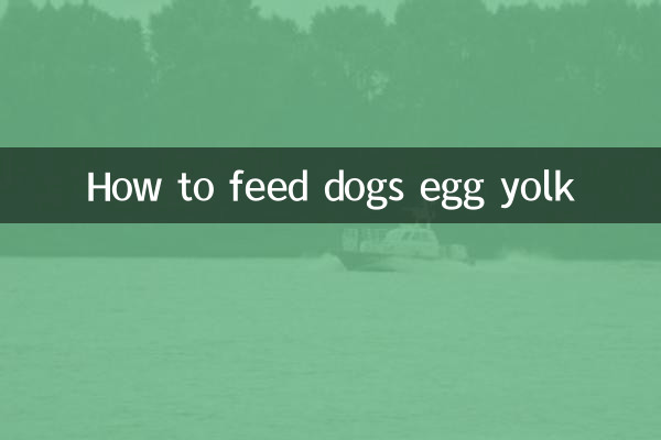 نحوه تغذیه سگ ها با زرده تخم مرغ
