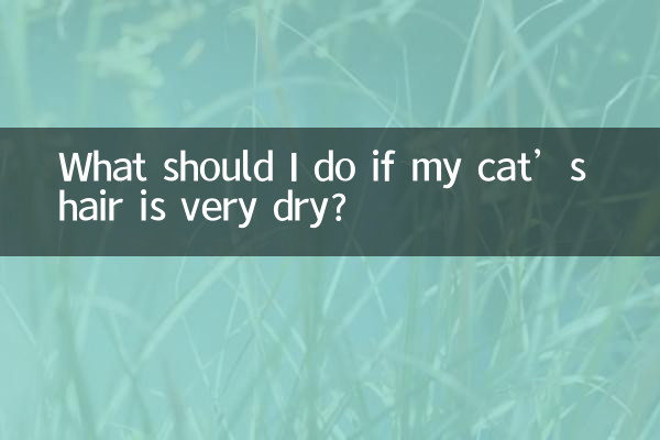 আমার বিড়ালের চুল খুব শুষ্ক হলে আমার কি করা উচিত?