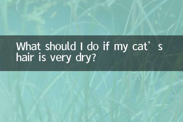 আমার বিড়ালের চুল খুব শুষ্ক হলে আমার কি করা উচিত?
