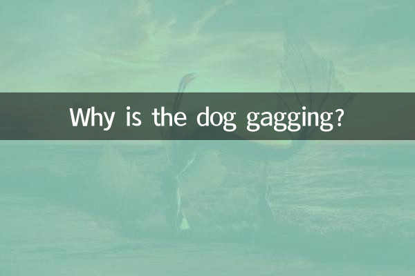 狗狗作呕怎么回事