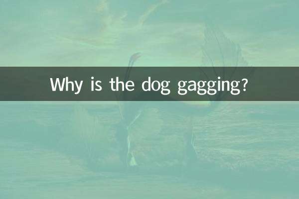 狗狗作呕怎么回事