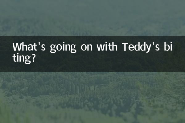 টেডির কামড় দিয়ে কী হচ্ছে?