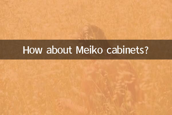 میکو کیبنٹ کے بارے میں کیا خیال ہے؟