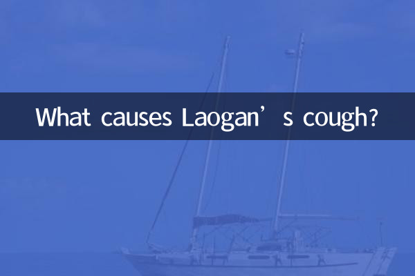 라오간의 기침의 원인은 무엇입니까?