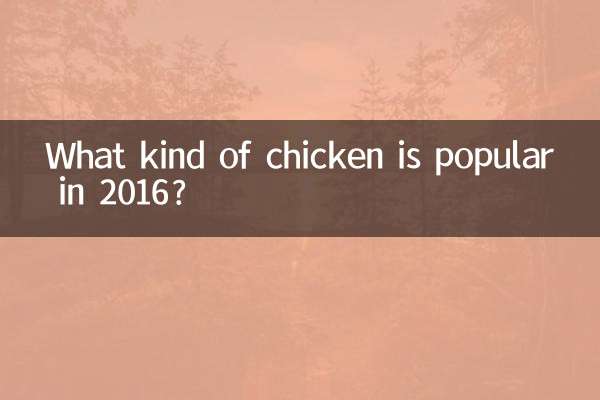 چه نوع مرغی در سال 2016 محبوب است؟