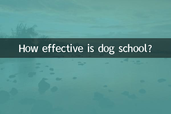 Wie effektiv ist eine Hundeschule?