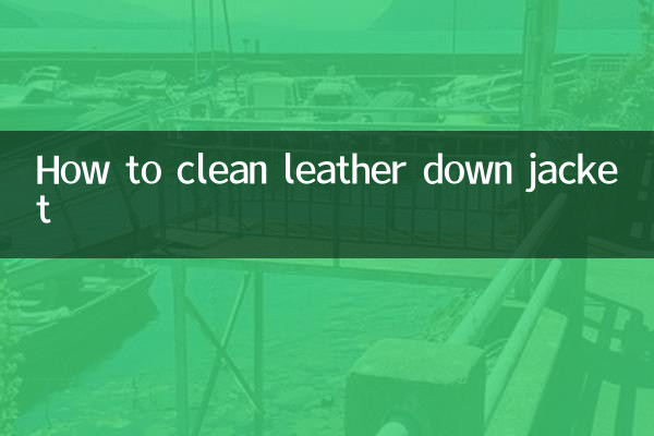 Как почистить кожаный пуховик