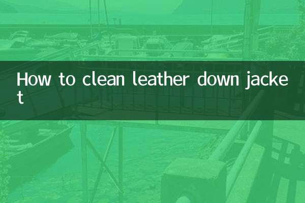 Как почистить кожаный пуховик