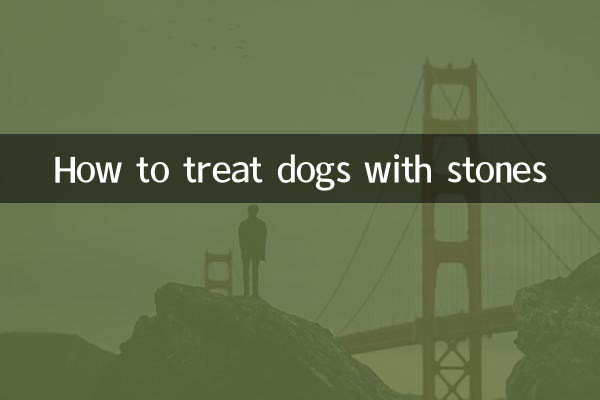 돌이 있는 개를 치료하는 방법