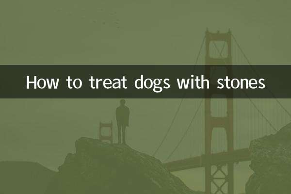 돌이 있는 개를 치료하는 방법