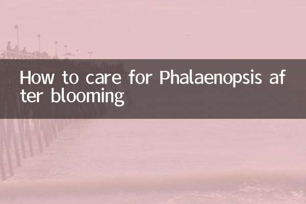 開過的蝴蝶蘭怎麼養護