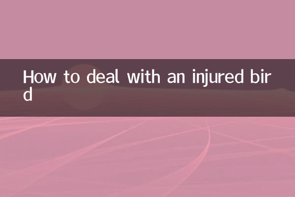 How to deal with an injured bird