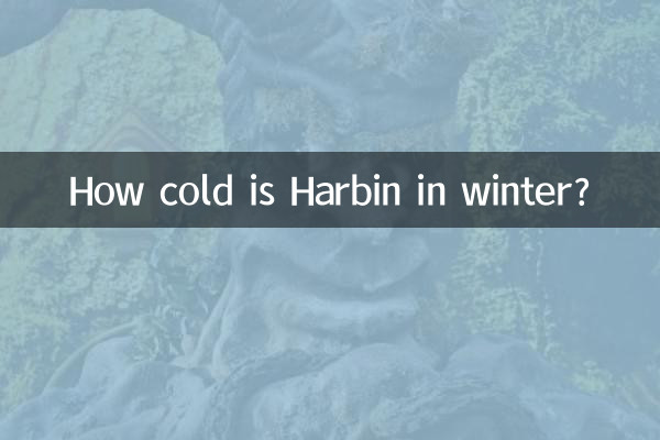 শীতকালে হারবিন কতটা ঠান্ডা?