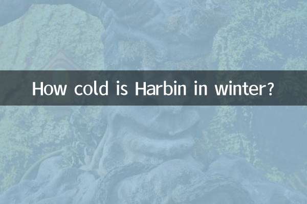 শীতকালে হারবিন কতটা ঠান্ডা?