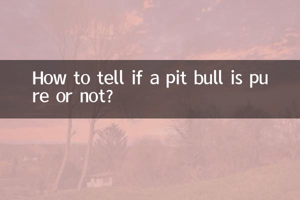 একটি পিট ষাঁড় খাঁটি কিনা তা কিভাবে বুঝবেন?